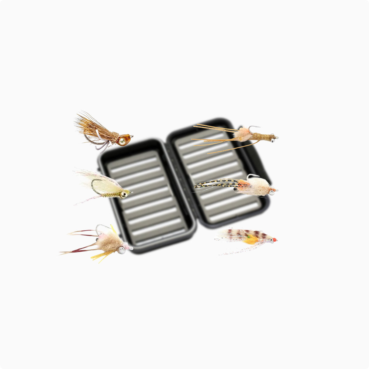 Flugpaket Bonefish Mexico