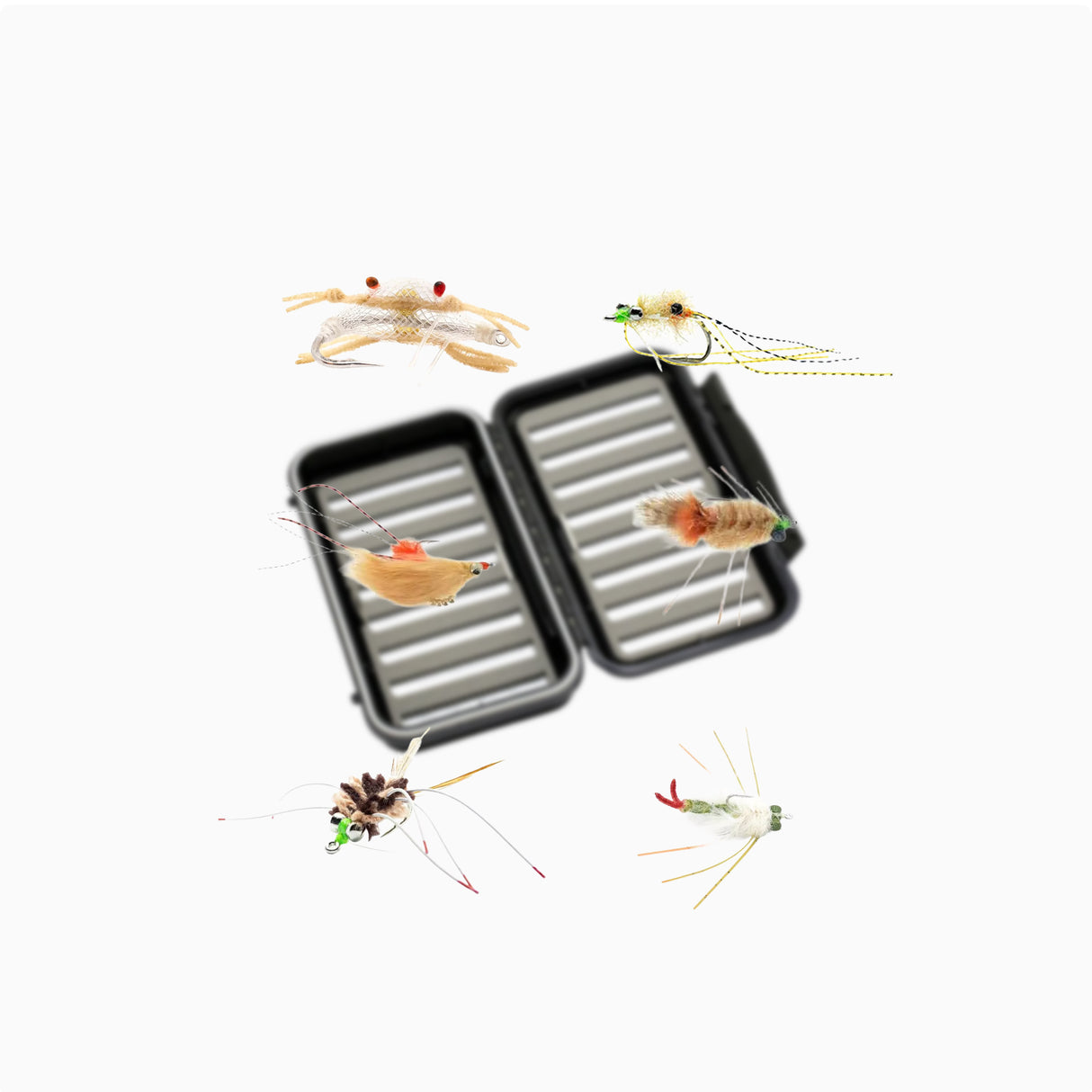 Flugpaket Permit Mexico