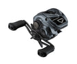 DAIWA 24 TATULA SV TW 100HL